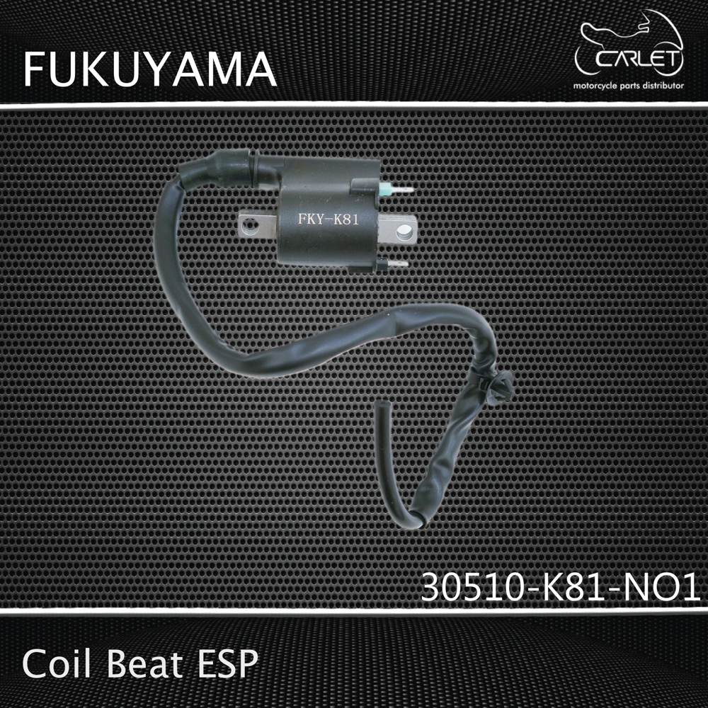 Fukuyama Coil / Koil K81 Beat ESP 
